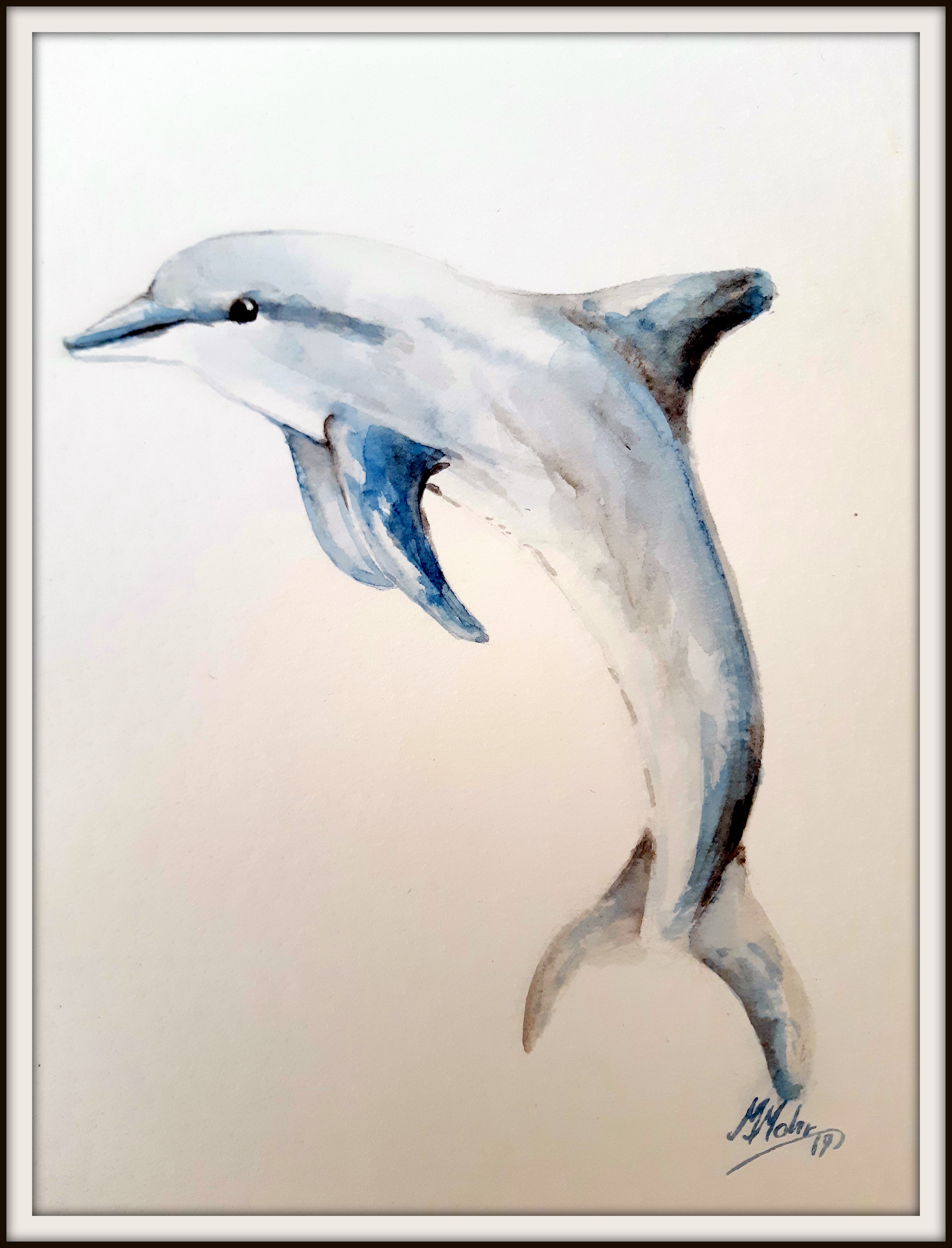 Delfin