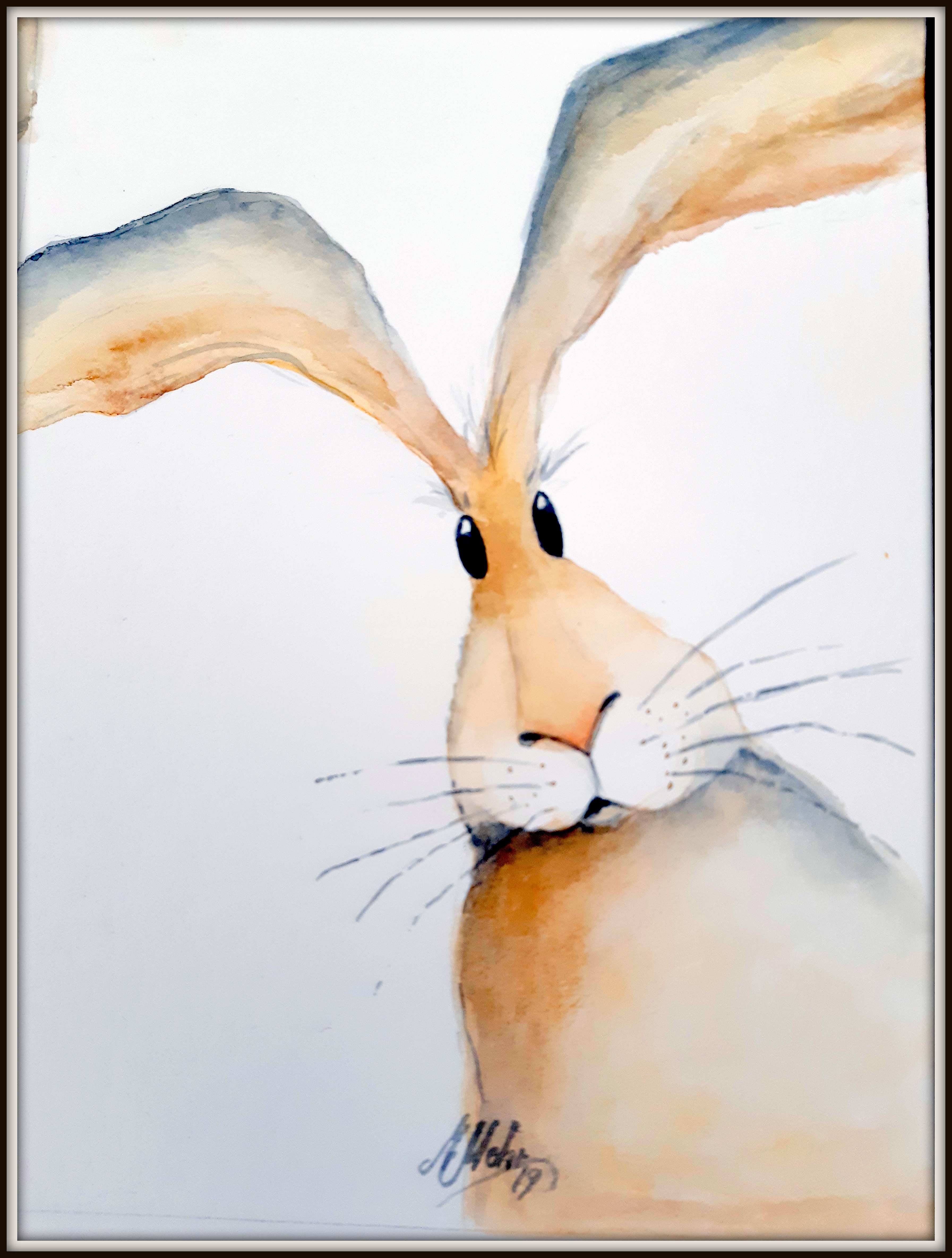 Hase