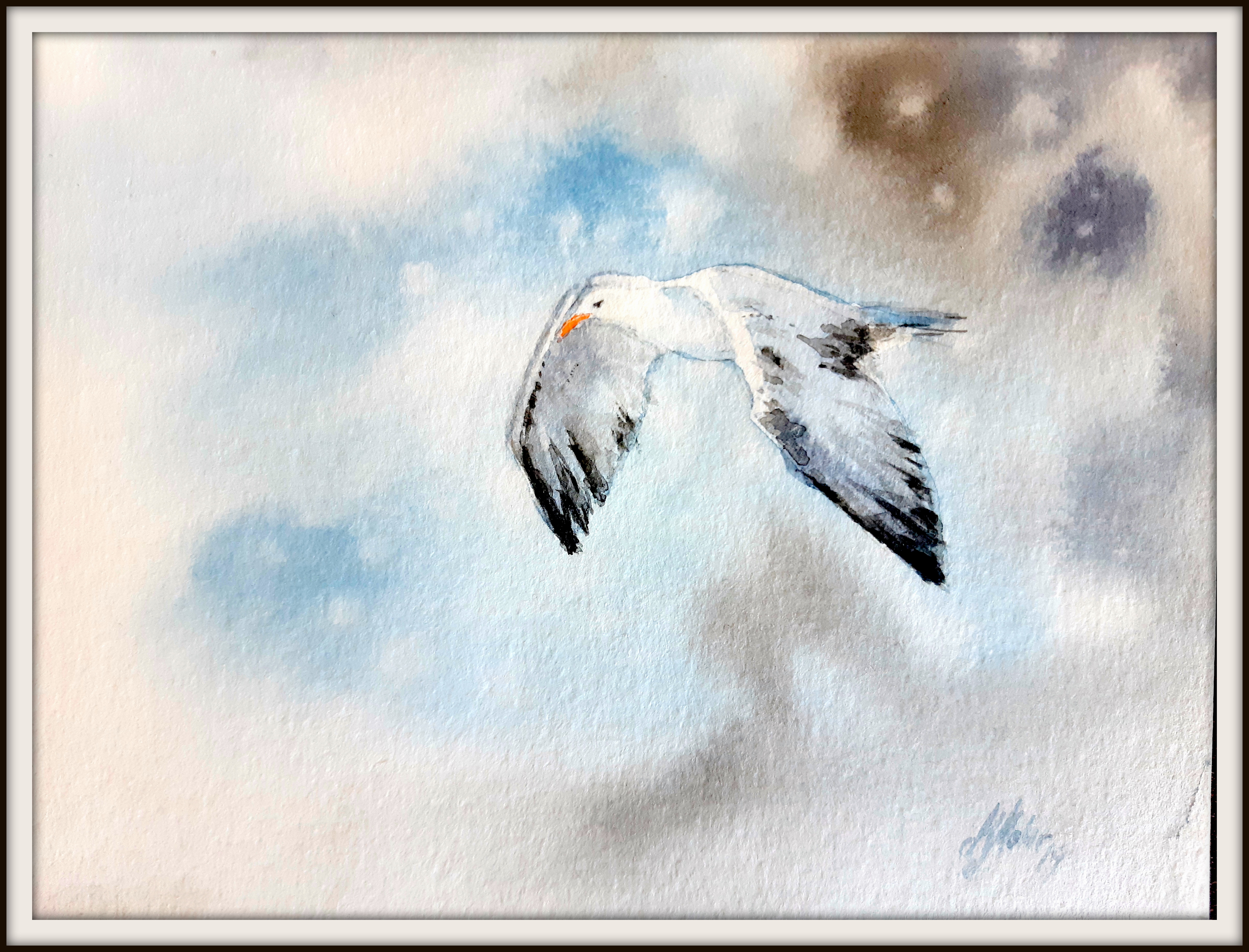 MÃ¶we