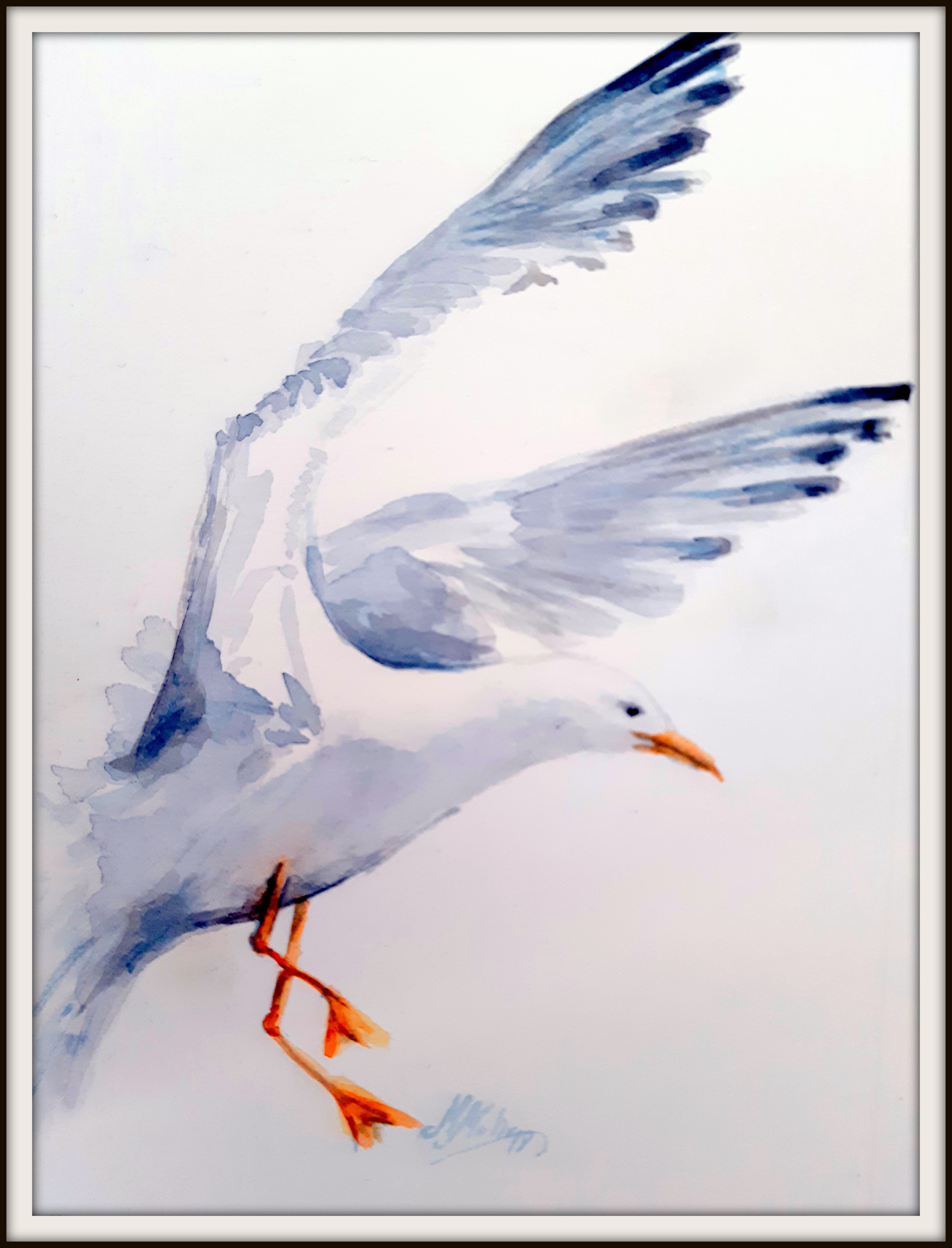 MÃ¶we