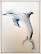 Delfin