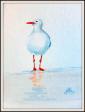 MÃ¶we1