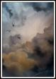 Wolken