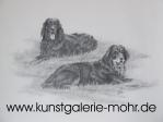 Hunde2