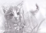 Kleine Katze