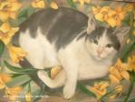 Öl Katze